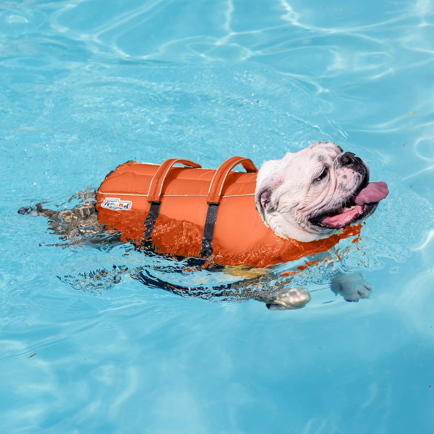 Granby Splash Orange Dog Life Jacket, Medium