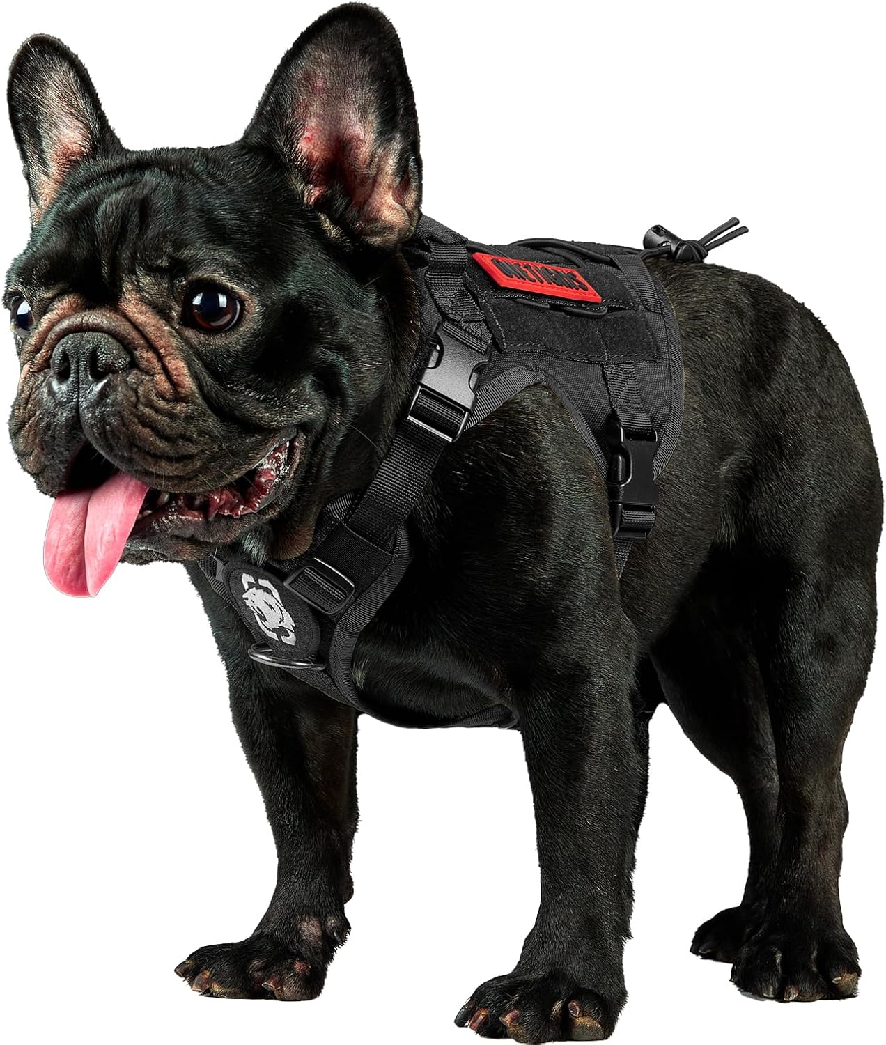 Tactical Dog Harness Vest - Adjustable No-Pull Service Dog Vest with Hook & Loop Panels for Walking, Hiking, and Training (Ranger Green, XS)