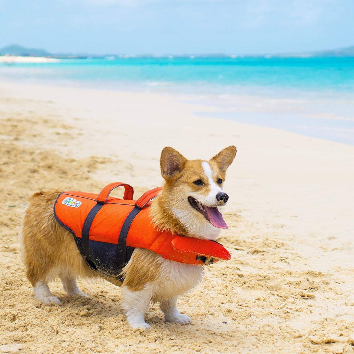 Granby Splash Orange Dog Life Jacket, Medium