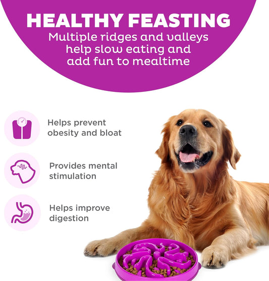 Large Fun Feeder Slo Bowl for Dogs, 4-Cup Capacity, Purple
