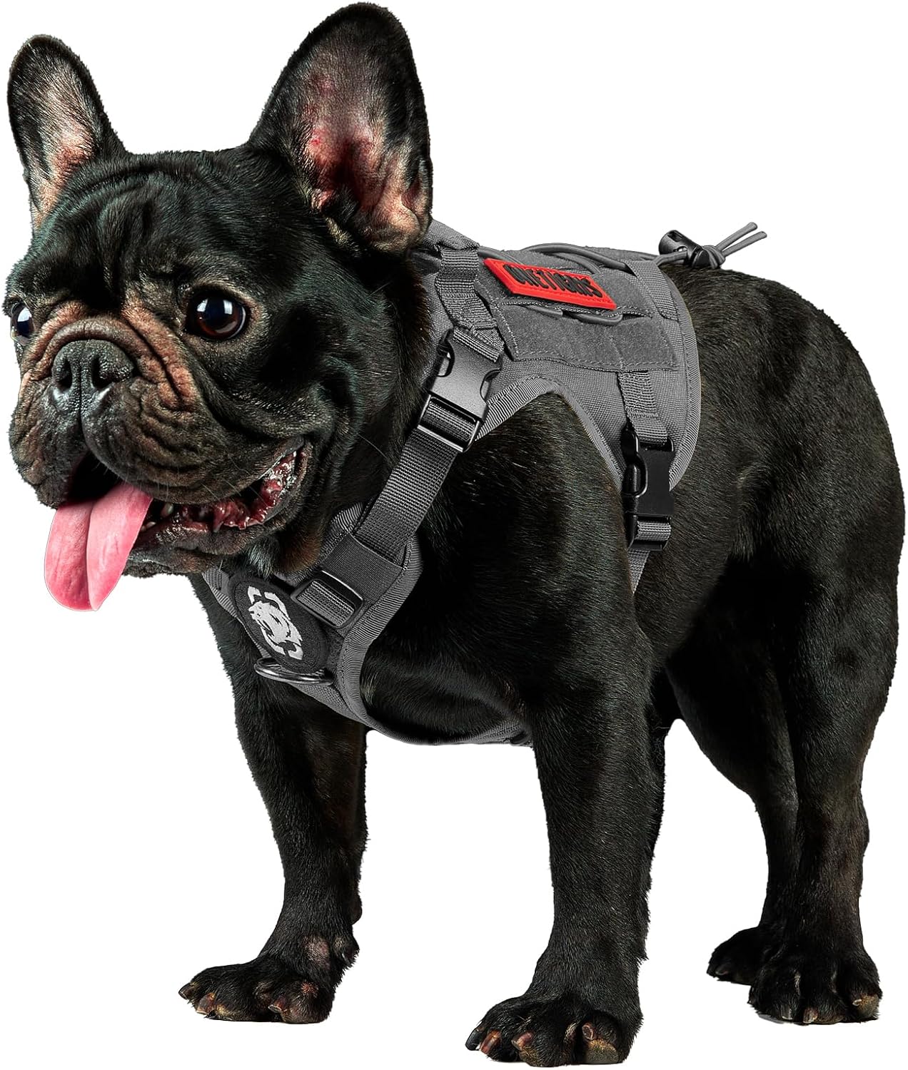Tactical Dog Harness Vest - Adjustable No-Pull Service Dog Vest with Hook & Loop Panels for Walking, Hiking, and Training (Ranger Green, XS)