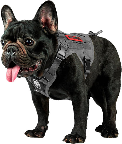 Tactical Dog Harness Vest - Adjustable No-Pull Service Dog Vest with Hook & Loop Panels for Walking, Hiking, and Training (Ranger Green, XS)