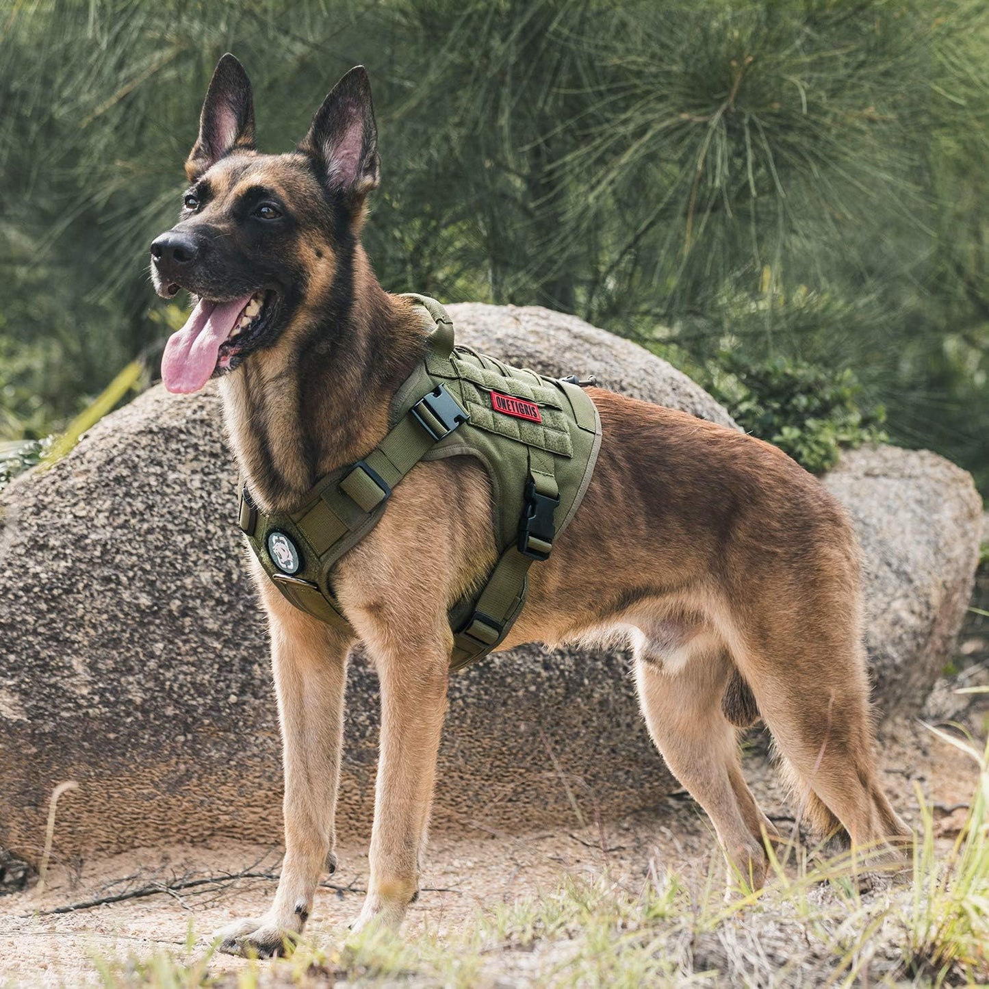 Tactical Dog Harness Vest - Adjustable No-Pull Service Dog Vest with Hook & Loop Panels for Walking, Hiking, and Training (Ranger Green, XS)