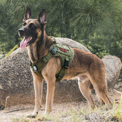 Tactical Dog Harness Vest - Adjustable No-Pull Service Dog Vest with Hook & Loop Panels for Walking, Hiking, and Training (Ranger Green, XS)